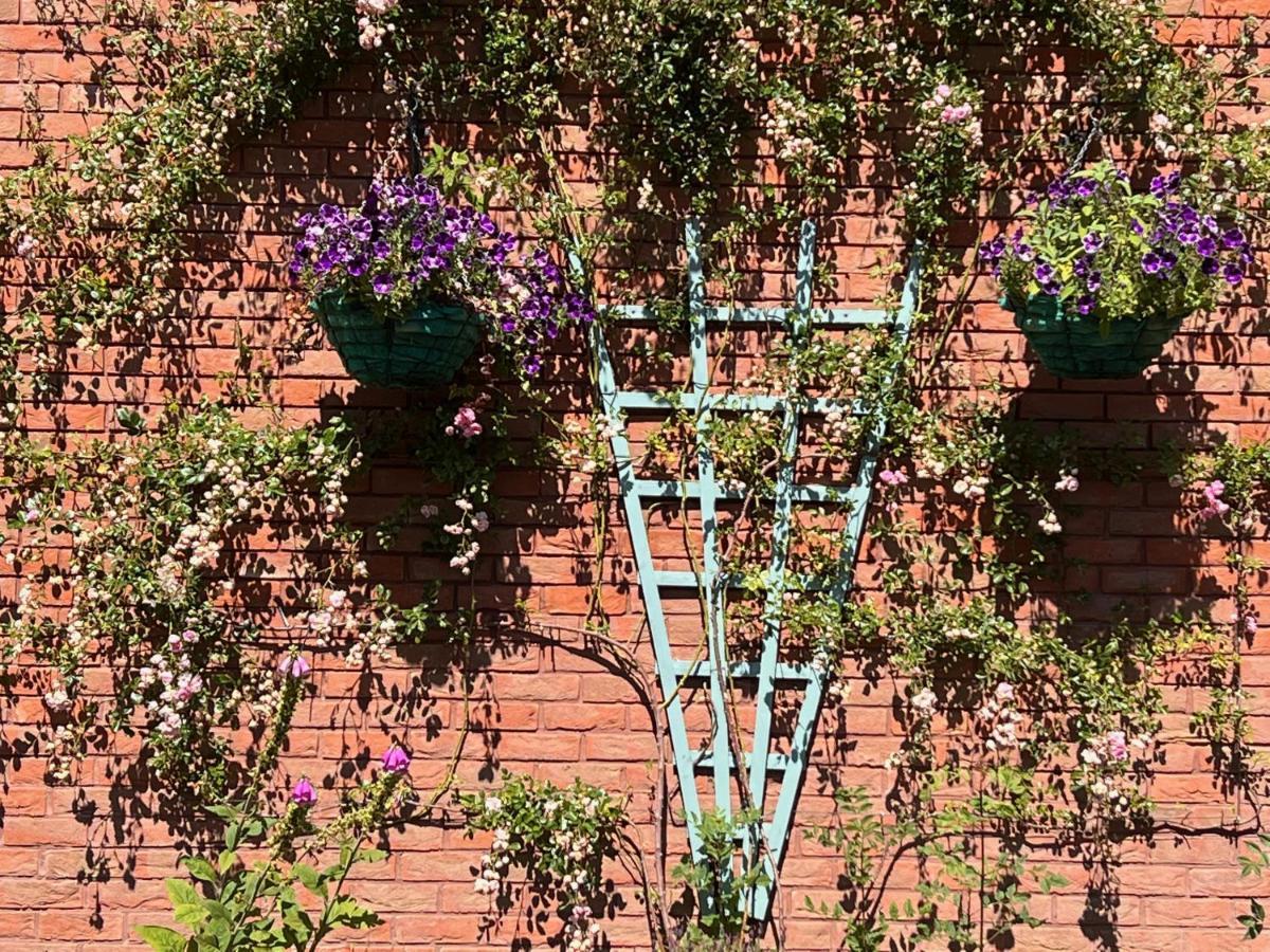 Clocktower Suite Exeter Exterior foto